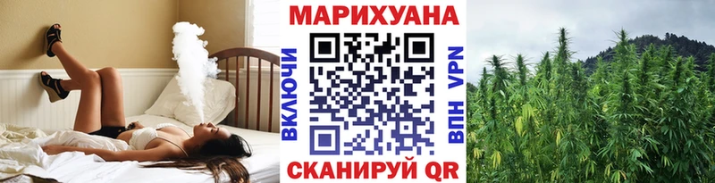 Бошки Шишки Кировск