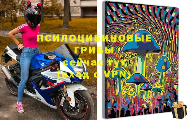 стафф Балахна