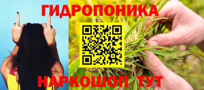 тгк Лесосибирск