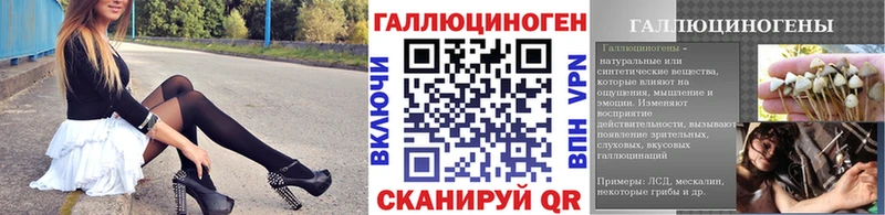 Псилоцибиновые грибы Cubensis  купить  цена  Кировск 