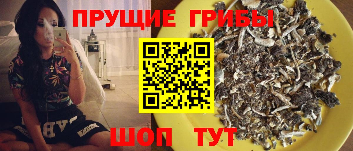 Галлюциногенные грибы ЛСД Кировск