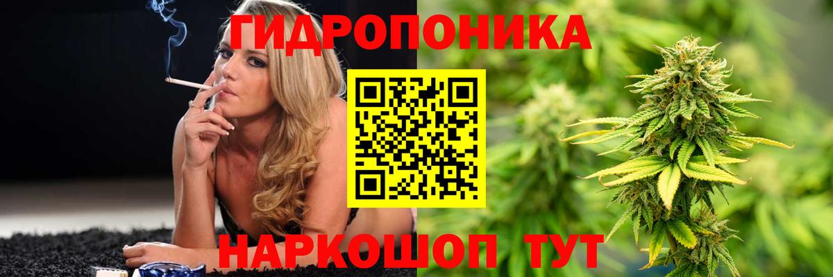 Шишки марихуана семена Кировск